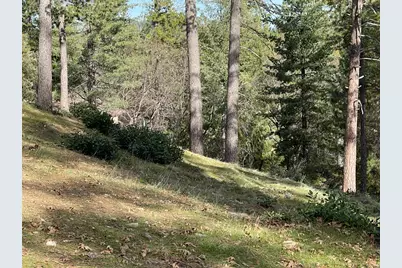 6827 Gray Court, Foresthill, CA 95631 - Photo 20