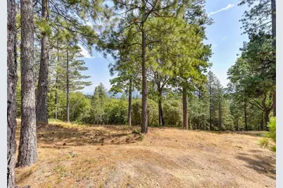 6827 Gray Court, Foresthill, CA 95631 - Photo 34