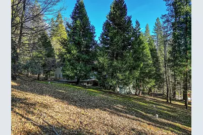2894 Black Oak Drive, Arnold, CA 95223 - Photo 50