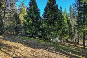 2894 Black Oak Dr, Arnold, CA 95223 - Photo 50