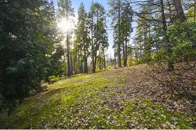 2894 Black Oak Drive, Arnold, CA 95223 - Photo 50