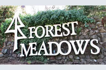 694 Forest Meadows Drive, Murphys, CA 95247 - Photo 46