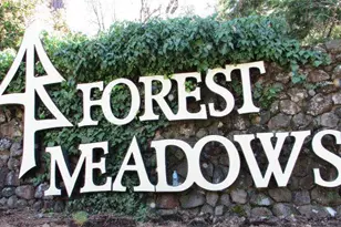 694 Forest Meadows Dr, Murphys, CA 95247 - Photo 46