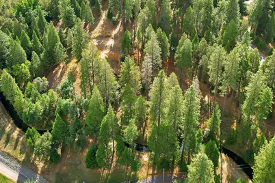 11021 Pittsburg Mine Road, Nevada City, CA 95959 - Photo 32