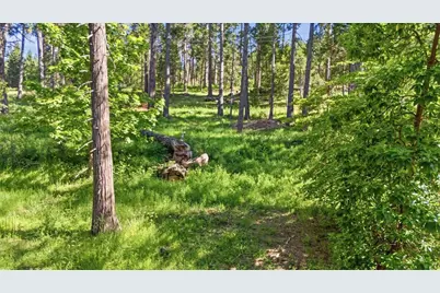 11021 Pittsburg Mine Road, Nevada City, CA 95959 - Photo 24