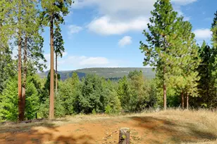 11021 Pittsburg Mine Rd, Nevada City, CA 95959 - Photo 1