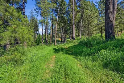 11021 Pittsburg Mine Road, Nevada City, CA 95959 - Photo 8