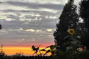 3951 Valley Vista, Camino, CA 95709 - Photo 8