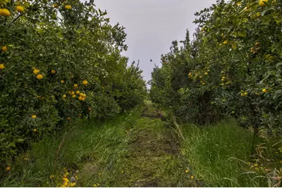 0 Road 208, Porterville, CA 93257 - Photo 2