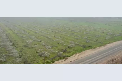 0 Road 208, Porterville, CA 93257 - Photo 4