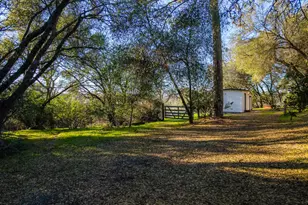 2580 Golden Fawn Trail, Shingle Springs, CA 95682 - Photo 46