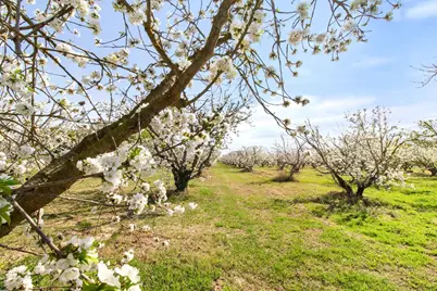 5575 E Whitmore, Hughson, CA 95326 - Photo 34