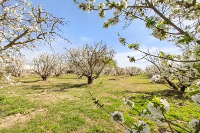 5575 E Whitmore, Hughson, CA 95326 - Photo 36