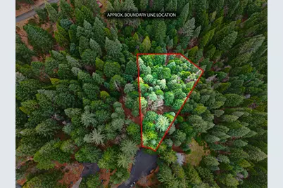 6300 Merry Way, Clipper Mills, CA 95930 - Photo 48