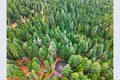 6300 Merry Way, Clipper Mills, CA 95930 - Photo 64