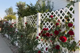 401 3rd St, Wheatland, CA 95692 - Photo 32