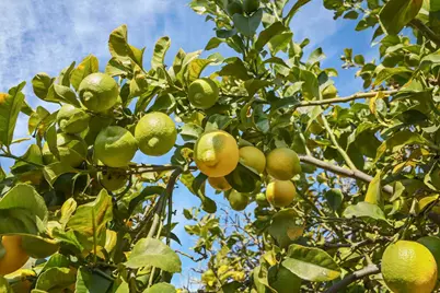 2072 Juneau Street, San Leandro, CA 94577 - Photo 28