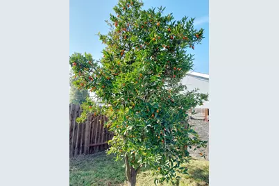 5 Bolinas Court, Sacramento, CA 95823 - Photo 30