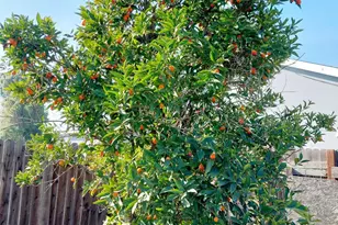 5 Bolinas Ct, Sacramento, CA 95823 - Photo 30