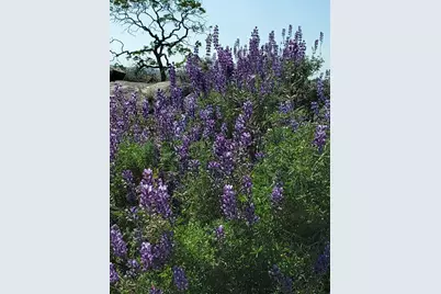 0 Spinecup Ridge, Raymond, CA 93653 - Photo 12