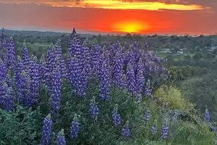 0 Spinecup Ridge, Raymond, CA 93653 - Photo 1