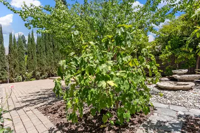 11 Loganberry Court, Sacramento, CA 95835 - Photo 66