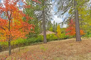 20860 Todd Valley Rd, Foresthill, CA 95631 - Photo 56