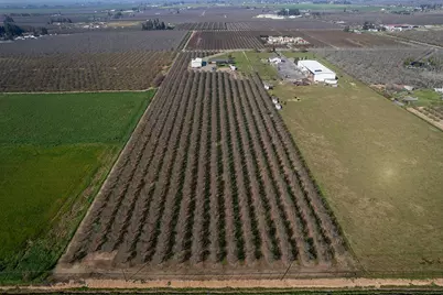 18041 Seidner Avenue, Escalon, CA 95320 - Photo 42