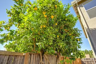 2064 Morgan Way, Yuba City, CA 95993 - Photo 54