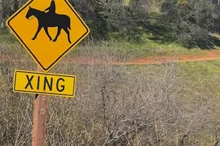 2073 Maydress Ct, Cool, CA 95614 - Photo 28