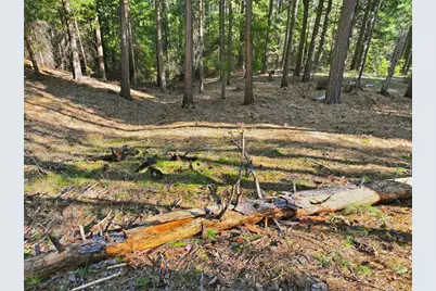 14442 Pello Court, Nevada City, CA 95959 - Photo 22