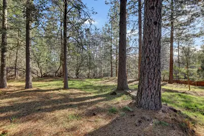15017 Pammy Way, Grass Valley, CA 95949 - Photo 70