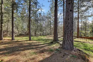 15017 Pammy Way, Grass Valley, CA 95949 - Photo 70