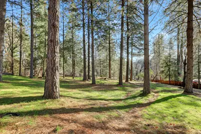 15017 Pammy Way, Grass Valley, CA 95949 - Photo 74