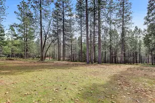 11325 Constitution Ct, Nevada City, CA 95959 - Photo 56