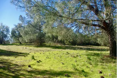 14331 Beitler Road, Nevada City, CA 95959 - Photo 4