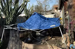 7205 Chesney Way, Rio Linda, CA 95673 - Photo 18