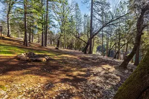 10450 S Ponderosa Way, Rough and Ready, CA 95975 - Photo 50