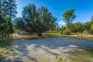 13807 Bluebird Way, Oregon House, CA 95962 - Photo 90