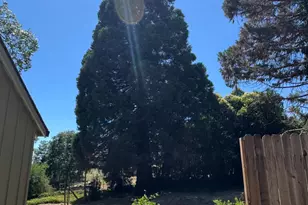 10149 East Dr, Grass Valley, CA 95945 - Photo 68