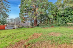 10149 East Dr, Grass Valley, CA 95945 - Photo 50