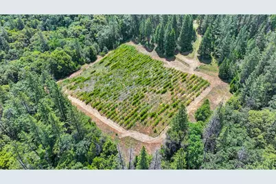 4941 D Agostini Drive, Somerset, CA 95684 - Photo 76