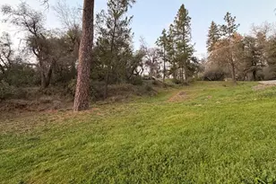 19751 Shirley Ln, Foresthill, CA 95631 - Photo 68