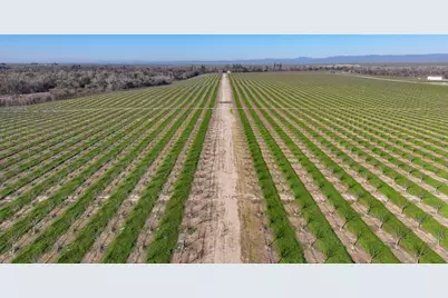 15743 N Allen Road, Snelling, CA 95369 - Photo 2