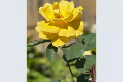 3769 Bridlewood Circle, Stockton, CA 95219 - Photo 30