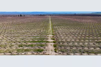 15116 N Allen Road, Snelling, CA 95369 - Photo 2