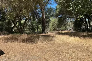 9153 Manzanita Ln, Oregon House, CA 95962 - Photo 54