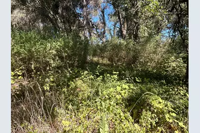 9153 Manzanita Lane, Oregon House, CA 95962 - Photo 36