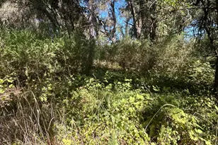 9153 Manzanita Ln, Oregon House, CA 95962 - Photo 36