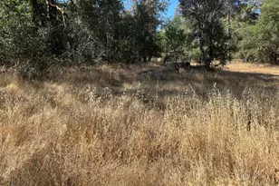 9153 Manzanita Ln, Oregon House, CA 95962 - Photo 56